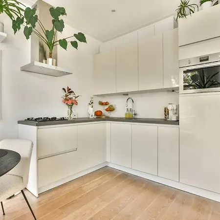 Modern Cozy * Amsterdam